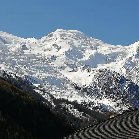 With Balcony, Mt Blanc View, Parking, Center Of Appartement Chamonix