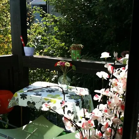 With Balcony, Mt Blanc View, Parking, Center Of Appartement Chamonix